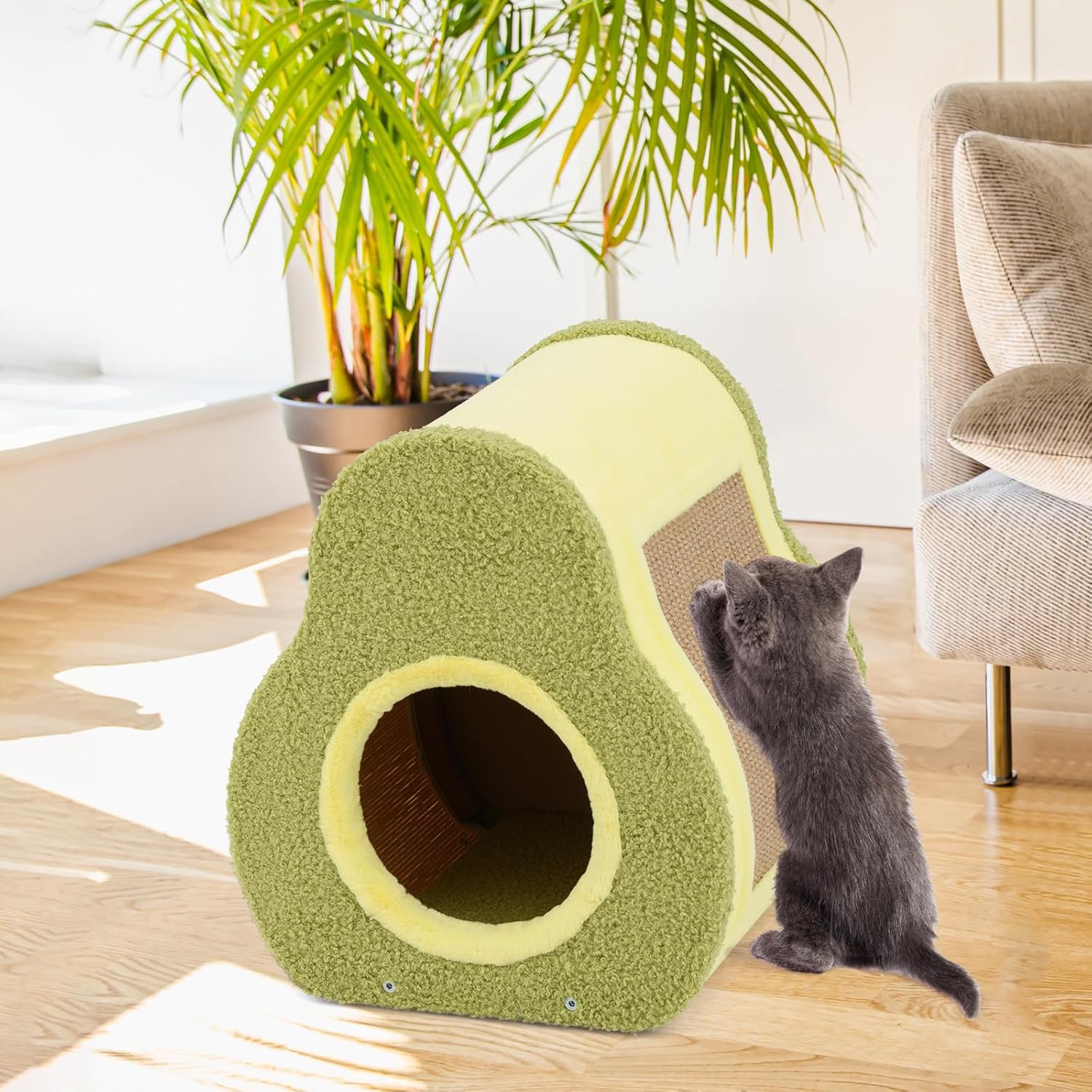 Avocado Cat House